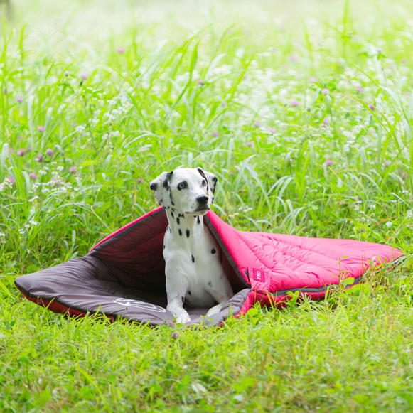 アウトドアに!犬用【FAD (ファッド)】FADパッカブル・ベッド ワイルド